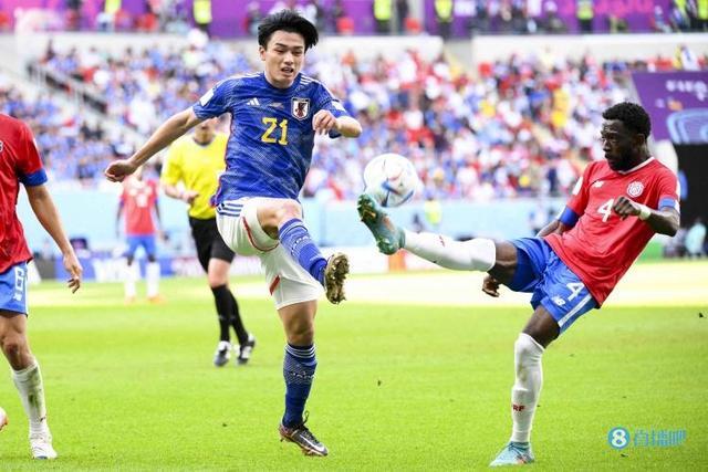 各自的项目 各自的项目