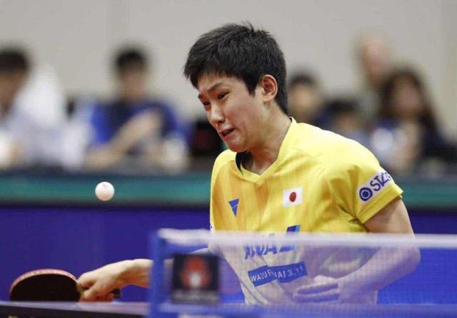 不仅是对她 不仅是对她